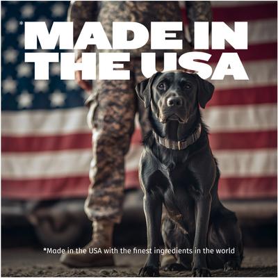 3-in-1 Muscle Gain Liquid Supplement for Dogs, 16-fl oz bottle