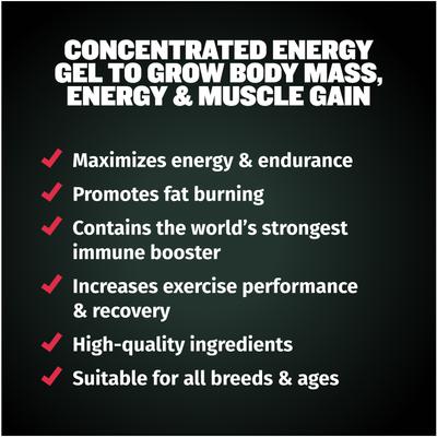 3-in-1 Muscle Gain Liquid Supplement for Dogs, 16-fl oz bottle