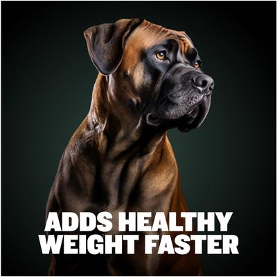 2-in-1 Weight Gain Liquid Supplement for Dogs, 16-fl oz bottle