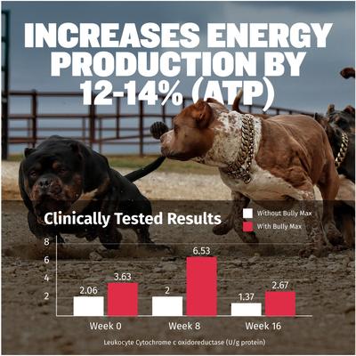 3-in-1 Muscle Gain Liquid Supplement for Dogs, 16-fl oz bottle