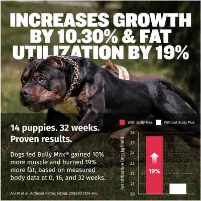 3-in-1 Muscle Gain Liquid Supplement for Dogs, 16-fl oz bottle