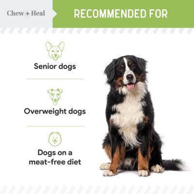 Limited Ingredient Low Calorie Fruit & Veggie Superfoods Soft Jerky Dog Treats, 12-oz bag