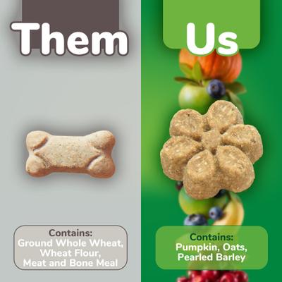 Bundle: Fruitables Pumpkin & Blueberry Flavor + Pumpkin & Apple Flavor Dog Treats