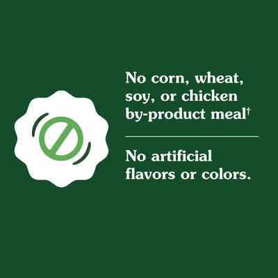 Alimento seco para Perros Adultos, Alto contenido Proteico de Pollo Real y Arroz