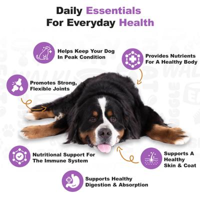 5-in-1 Multivitamin Soft Chew Dog Supplement, 225 count