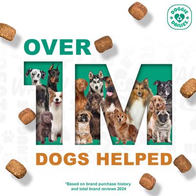 5-in-1 Multivitamin Soft Chew Dog Supplement, 225 count