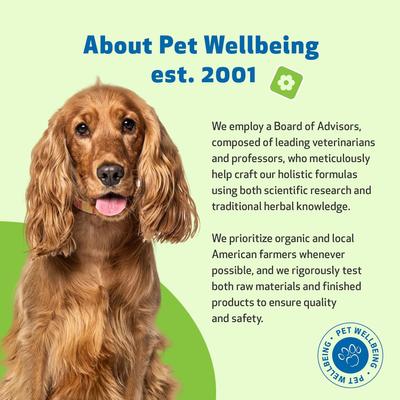 Adrenal Harmony Gold Bacon Flavored Liquid Supplement for Dogs & Cats, 4-oz bottle