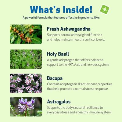 Adrenal Harmony Gold Bacon Flavored Liquid Supplement for Dogs & Cats, 4-oz bottle