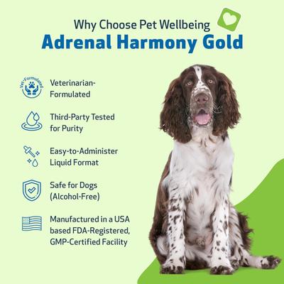 Adrenal Harmony Gold Bacon Flavored Liquid Supplement for Dogs & Cats, 4-oz bottle