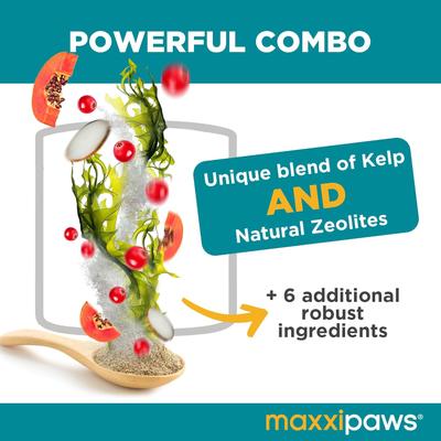 maxxidental Advanced Oral Support Dental & Gum Care Powder Supplement for Cats, 3.2-oz jar