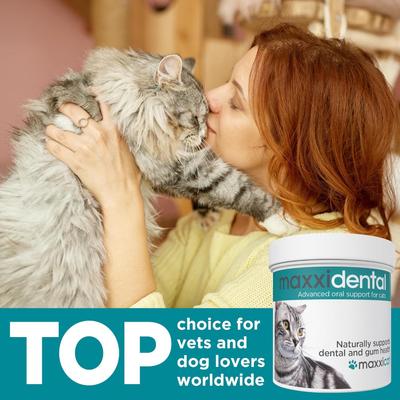 maxxidental Advanced Oral Support Dental & Gum Care Powder Supplement for Cats, 3.2-oz jar