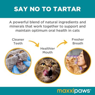 maxxidental Advanced Oral Support Dental & Gum Care Powder Supplement for Cats, 3.2-oz jar