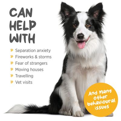 maxxicalm Natural Calming Supplement for Dogs, 60 count