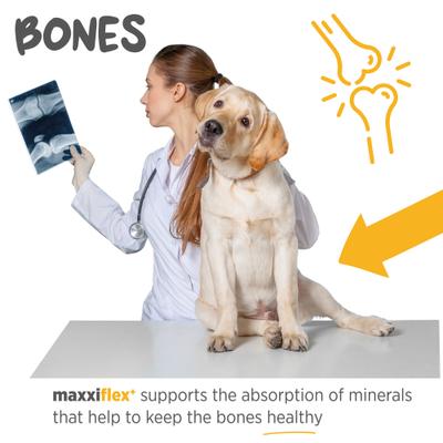 maxxiflex+ Liver Flavored Hip & Joint Supplement for Dogs, 60 count