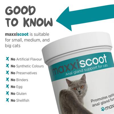 maxxiscoot Pumpkin Flavored Anal Gland & Digestive Health Support Powder Supplement for Cats, 3.2-oz jar