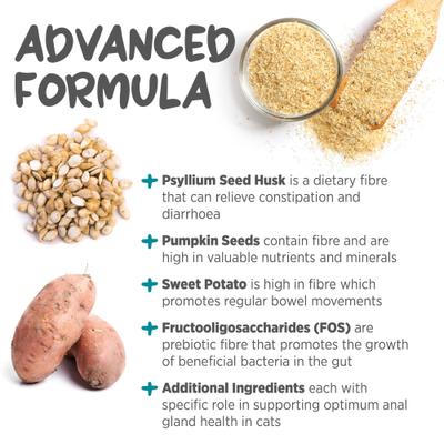 maxxiscoot Pumpkin Flavored Anal Gland & Digestive Health Support Powder Supplement for Cats, 3.2-oz jar