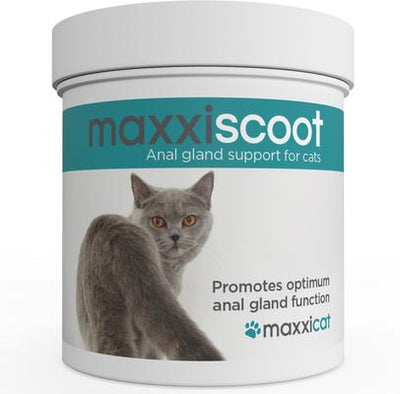 maxxiscoot Pumpkin Flavored Anal Gland & Digestive Health Support Powder Supplement for Cats, 3.2-oz jar