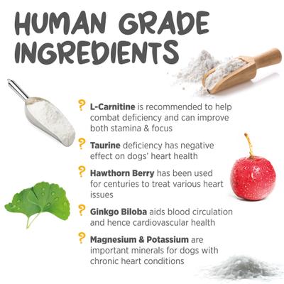 maxxicardio Heart & Cardiovascular Powder Supplement for Dogs, 5.3-oz jar