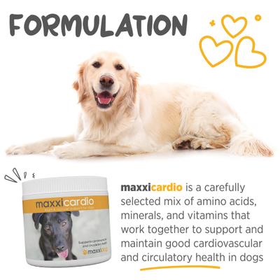 maxxicardio Heart & Cardiovascular Powder Supplement for Dogs, 5.3-oz jar