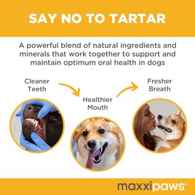 maxxidental Advanced Oral Support Dental & Gum Care Powder Supplement for Dogs, 5-oz jar