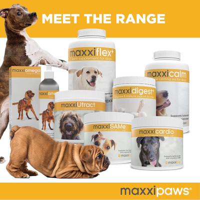 maxxidental Advanced Oral Support Dental & Gum Care Powder Supplement for Dogs, 5-oz jar