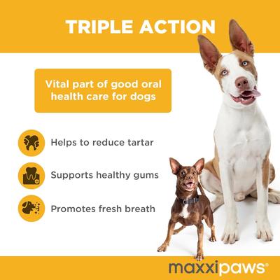 maxxidental Advanced Oral Support Dental & Gum Care Powder Supplement for Dogs, 5-oz jar