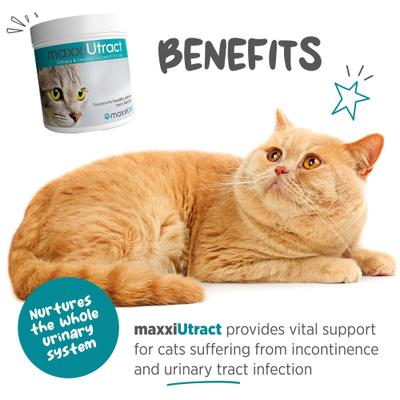 maxxiUtract Urinary & Bladder Support Powder Supplement for Cats, 3.2-oz jar