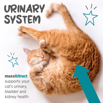 maxxiUtract Urinary & Bladder Support Powder Supplement for Cats, 3.2-oz jar