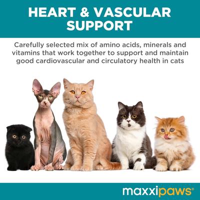 maxxicardio Heart & Cardiovascular Powder Supplement for Cats, 3.2-oz jar