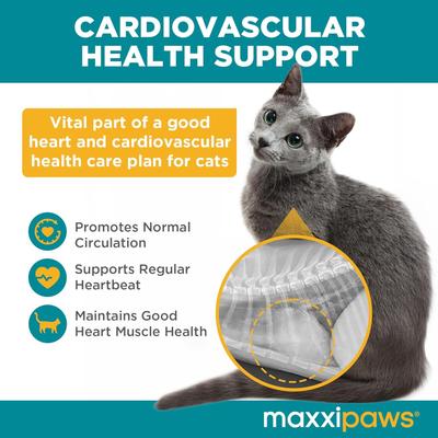 maxxicardio Heart & Cardiovascular Powder Supplement for Cats, 3.2-oz jar