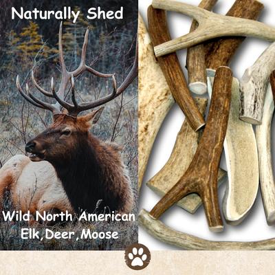 Elk Antler Split Dog Treats, Large, case of 2