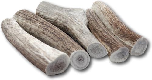 Premium Large Elk Antler Dog Treats, 5 count