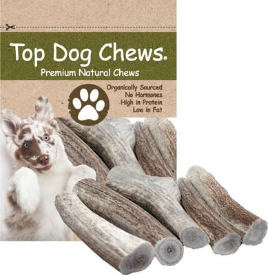Premium Large Elk Antler Dog Treats, 5 count