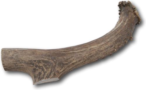 Large Antler Dog Treat, 6-9 inch