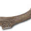 Premium Whitetail Deer Large Antler Dog Treat, 1 count