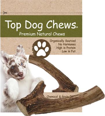 Large Antler Dog Treat, 6-9 inch