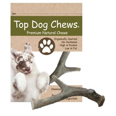 Premium Whitetail Deer Large Antler Dog Treat, 1 count