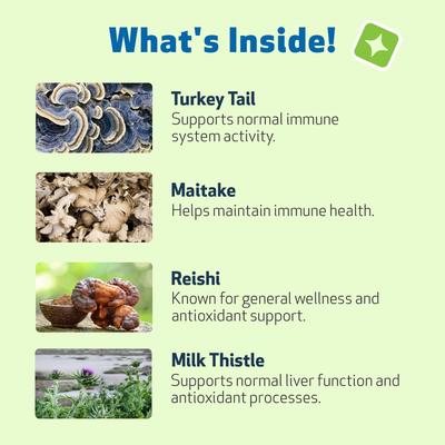 Mushroom Immune GOLD Bacon Flavored Liquid Immune Supplement for Cats & Dogs, 8-oz bottle