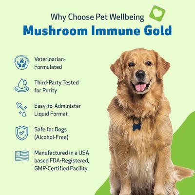Mushroom Immune GOLD Bacon Flavored Liquid Immune Supplement for Cats & Dogs, 8-oz bottle