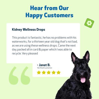 Kidney Support GOLD Bacon Flavored Liquid Kidney Supplement for Dogs & Cats, 2-oz bottle