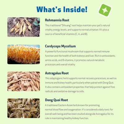 Kidney Support GOLD Bacon Flavored Liquid Kidney Supplement for Dogs & Cats, 2-oz bottle