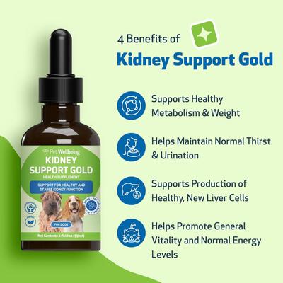 Kidney Support GOLD Bacon Flavored Liquid Kidney Supplement for Dogs & Cats, 2-oz bottle