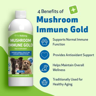 Mushroom Immune GOLD Bacon Flavored Liquid Immune Supplement for Cats & Dogs, 8-oz bottle