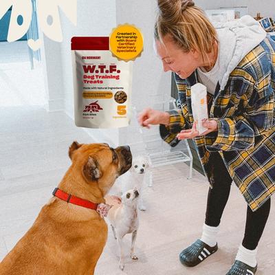 WTF Pork Flavored Training Soft & Chewy Dog Treats, 5-oz bag