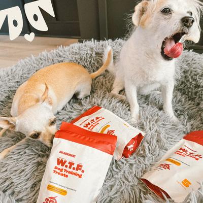 WTF Pork Flavored Training Soft & Chewy Dog Treats, 5-oz bag