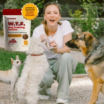WTF Pork Flavored Training Soft & Chewy Dog Treats, 5-oz bag