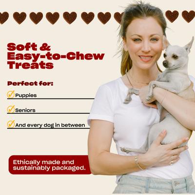 WTF Pork Flavored Training Soft & Chewy Dog Treats, 5-oz bag