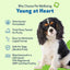 Young at Heart Bacon Flavored Liquid Heart Supplement for Dogs & Cats, 2-fl oz bottle