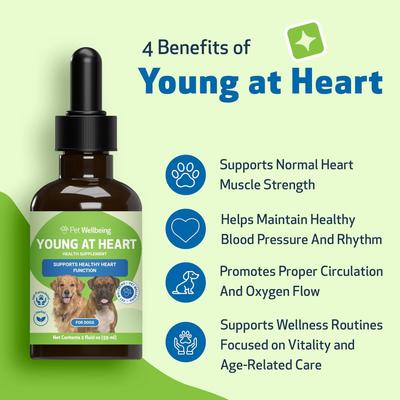 Young at Heart Bacon Flavored Liquid Heart Supplement for Dogs & Cats, 2-fl oz bottle