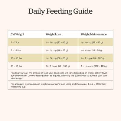 Good Gravy Salmon Recipe Grain-Free Adult Dry Cat Food, 8-lb bag